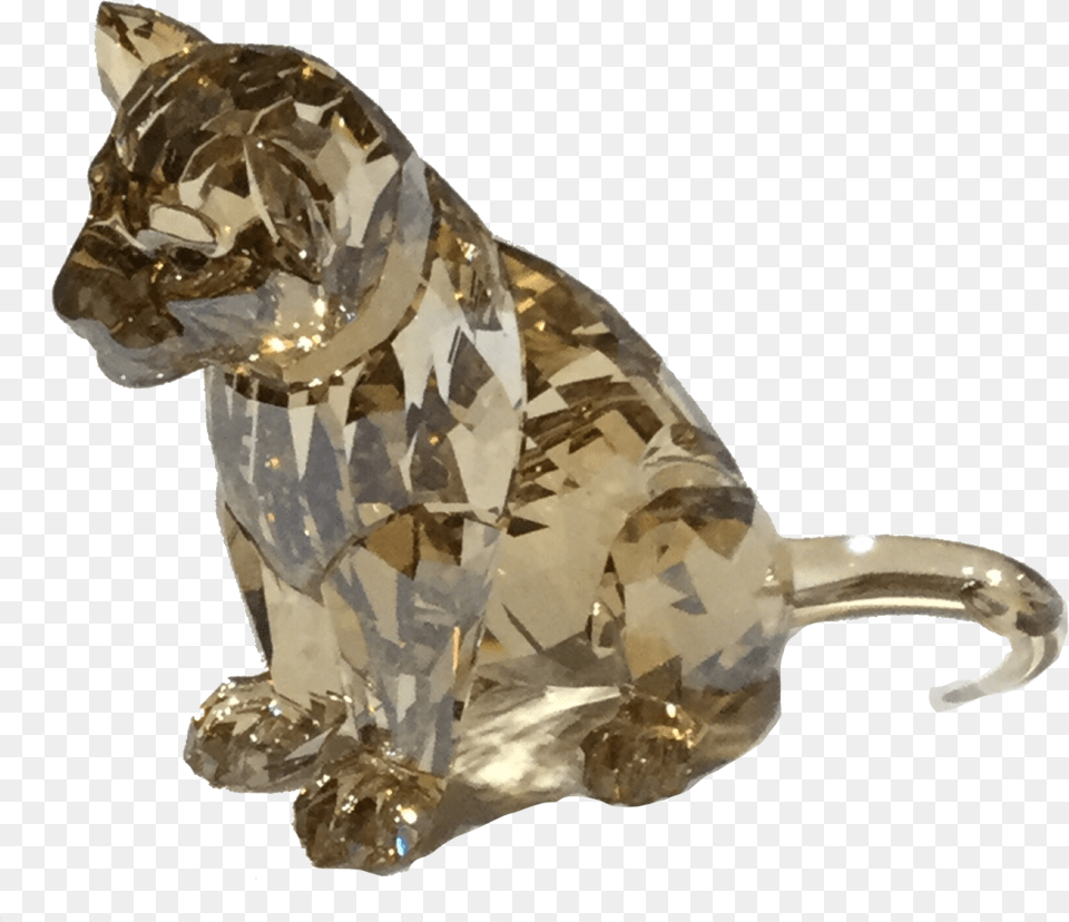 2016 Scs Lion Cub Boxer, Accessories, Animal, Cat, Mammal Free Png