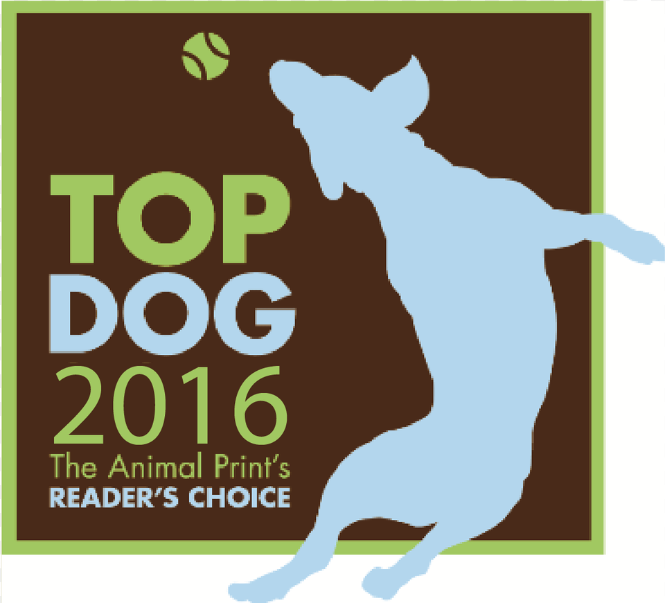 2016 Top Dog Winners Ri Animal Medical Center And Four Poster, Advertisement, Baby, Person, Mammal Png Image