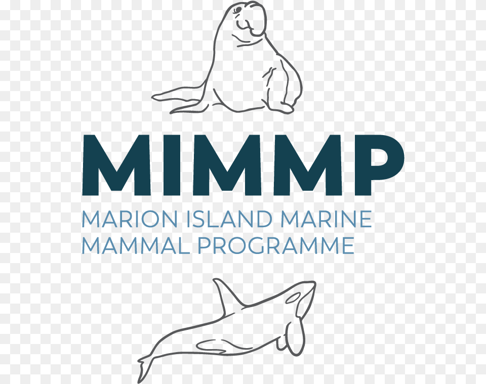 2017 10 10 Mimmp Brandidentity Full Primary Rgb, Animal, Sea Life, Mammal Free Png Download