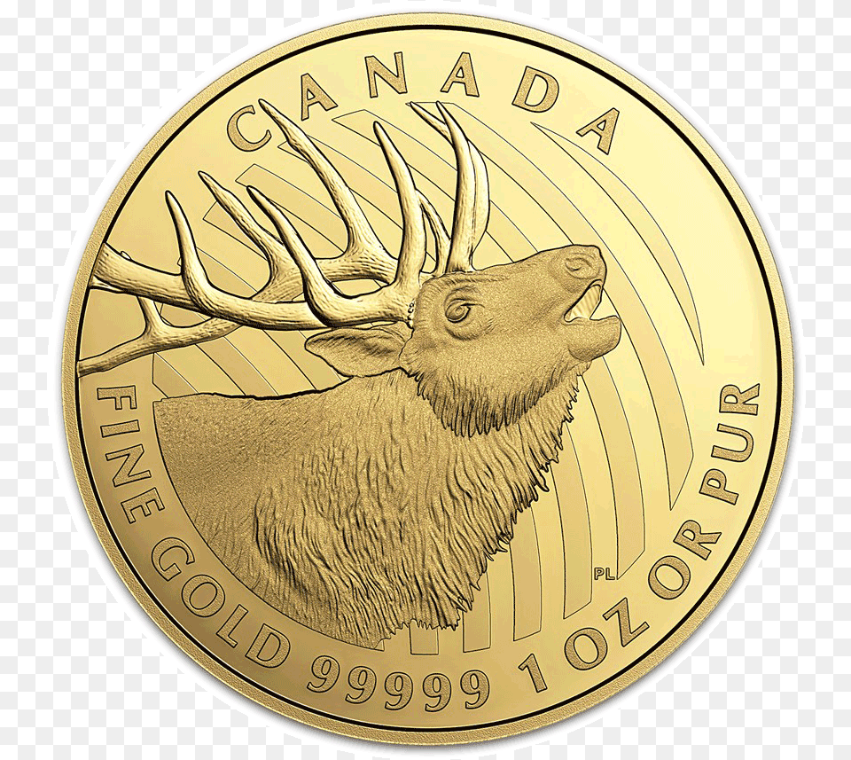 2017 Bugling Elk Canadian Gold Coin U2014 Montgomery Chandler 2020 Maple Gram, Money, Animal, Antelope, Mammal Png