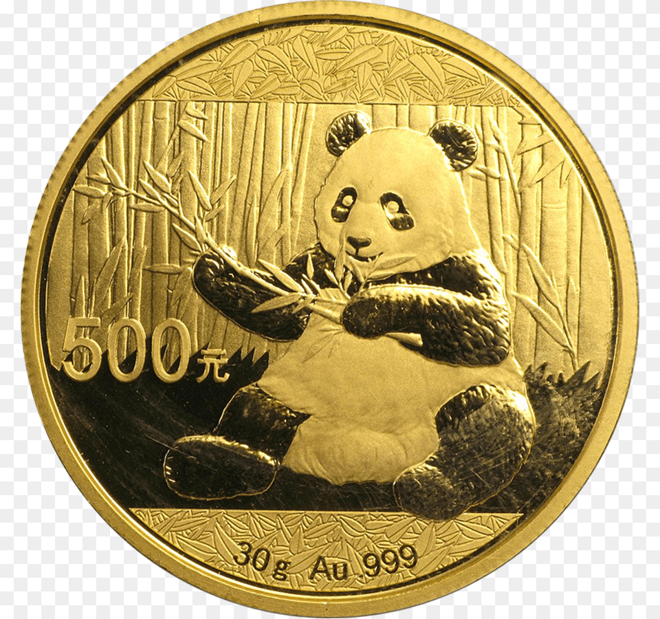 2017 Chinese Panda 30g Gold Coin Brilliant Prices Chinese Gold Panda 2017, Animal, Bear, Mammal, Wildlife Free Transparent Png