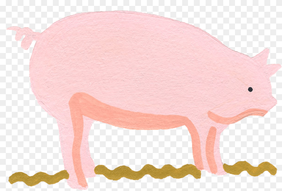 2017 Domestic Pig, Animal, Mammal, Hog, Bear Free Png