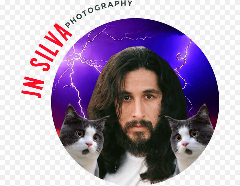 2017 Jn Silva Teacher Circlecropped Domestic Short Haired Cat, Photography, Adult, Person, Man Png
