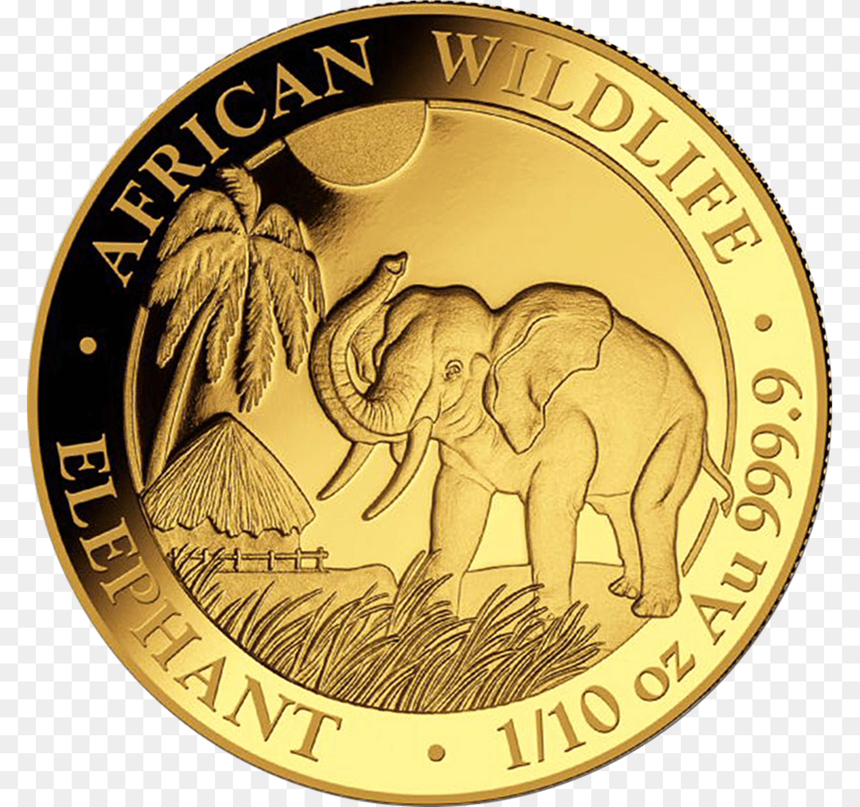 2017 Somalian Elephant 110oz Gold Coin Somalia Elefant 1, Animal, Mammal, Wildlife, Money Free Transparent Png