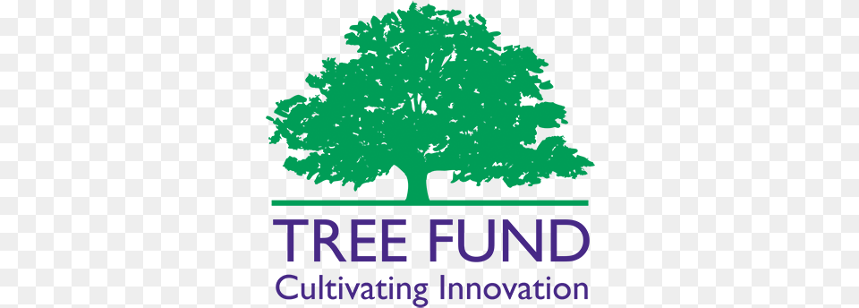 2017 Tree Fund Logo, Oak, Plant, Sycamore, Vegetation Free Png Download