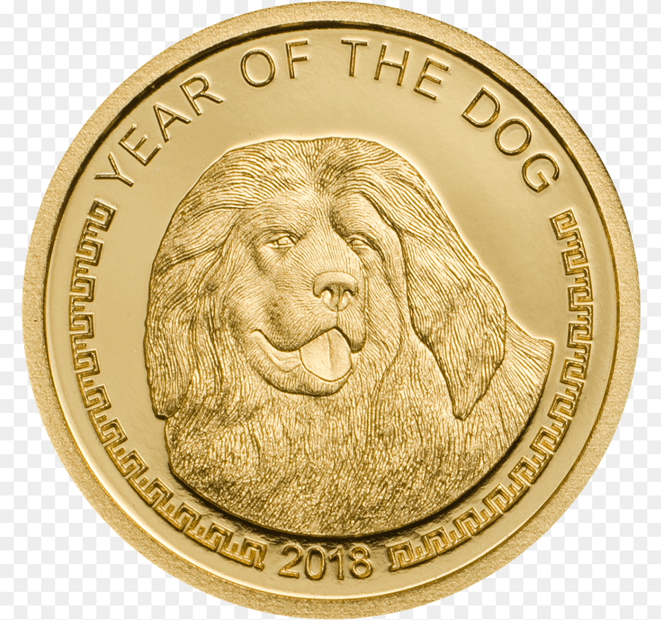 2018 05 Gram Mongolia Year Of The Dog 9999 Gold Coin Lpm 1850 20 Dollar Gold Coin, Animal, Lion, Mammal, Wildlife Png