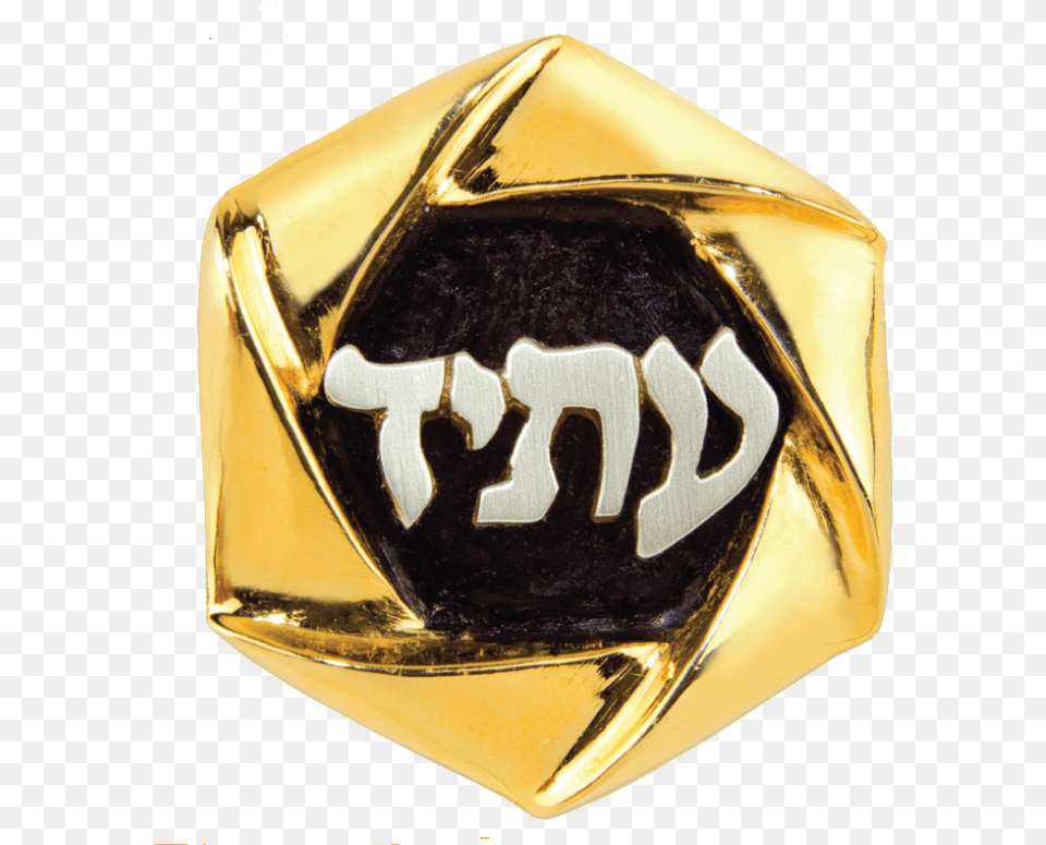 2018 2021 Torah Fund Pin Ring, Helmet, Logo Free Png Download