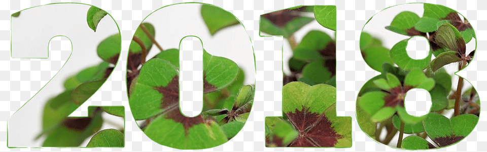 2018 Boldog J Vet, Green, Leaf, Plant, Number Free Transparent Png