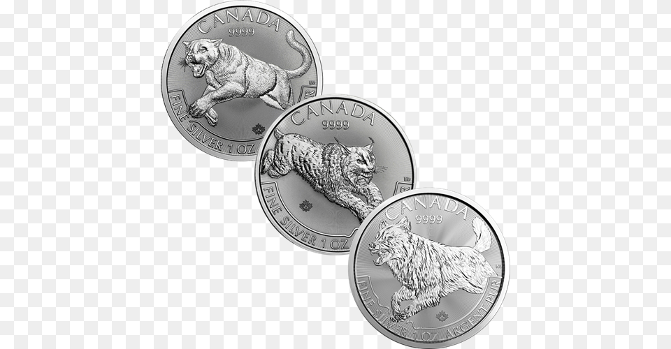 2018 Canadian Cougar Lynx Amp Wolf 1oz Silver Coin Collection 1 2017, Animal, Canine, Cat, Dog Free Png Download