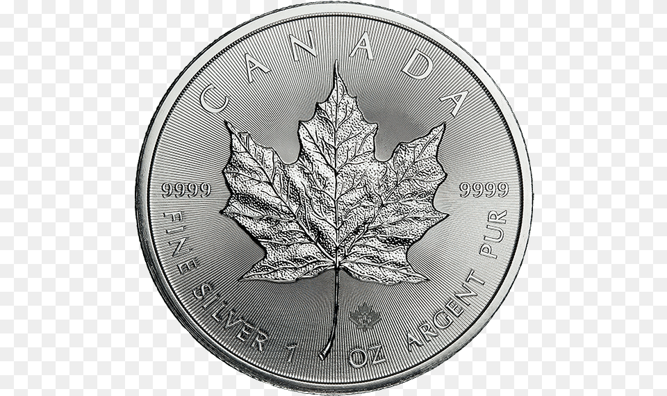 2018 Canadian Silver Maple Leaf Coin, Plant Png