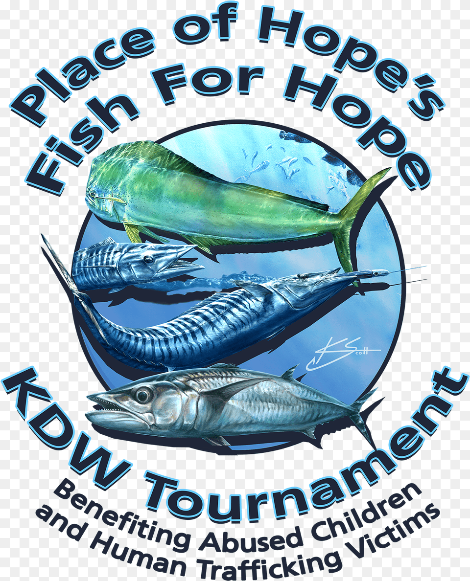 2018 Fish For Hope Newfont Logo Small Swordfish, Animal, Sea Life, Tuna, Water Png Image