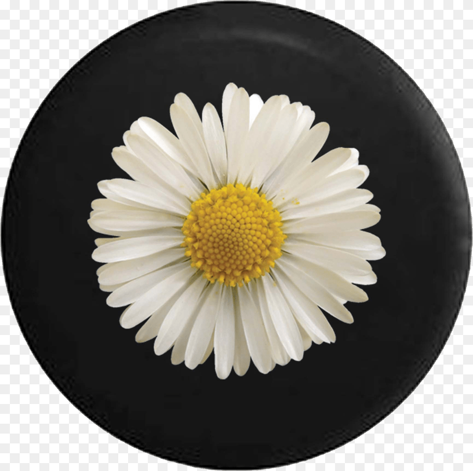 2018 Jeep Wrangler Tire Cover With Backup Camera, Daisy, Flower, Petal, Plant Png Image