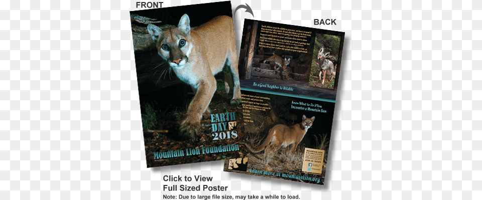 2018 Mountain Lion Earth Day Poster Cougar, Animal, Mammal, Wildlife, Cat Free Transparent Png