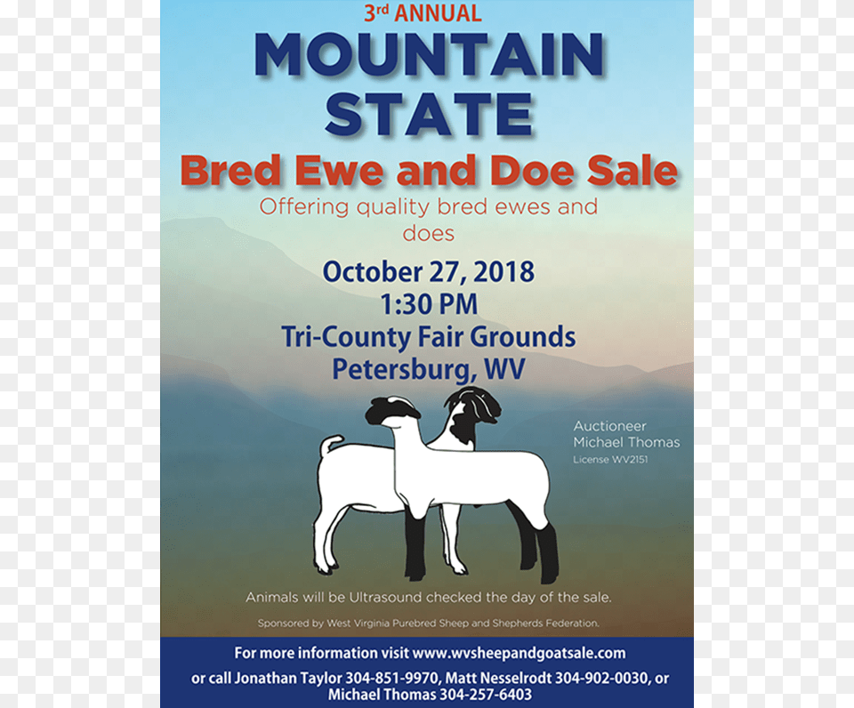 2018 Mountain State Bred Ewe And Doe Sale Poster, Advertisement, Animal, Livestock, Mammal Png Image