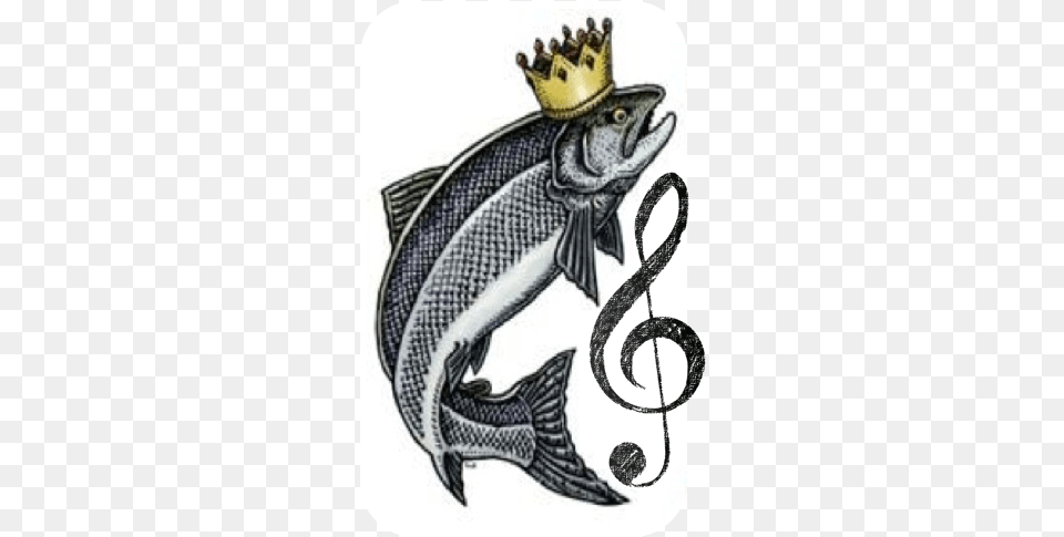 2018 Se Ak Music Festival Juneau Ketchikan High School, Animal, Sea Life, Fish, Trout Png