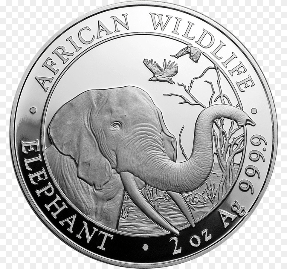 2018 Somalian Elephant 2oz Silver Coin Coin, Animal, Mammal, Wildlife, Money Free Transparent Png