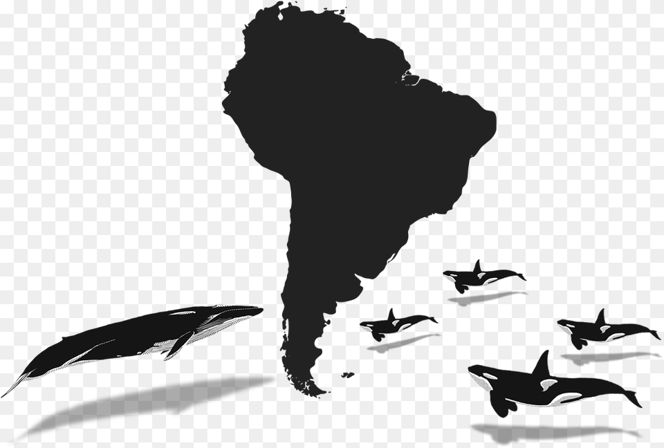 2018 South America Silhouette, Smoke, Animal, Bird Free Transparent Png