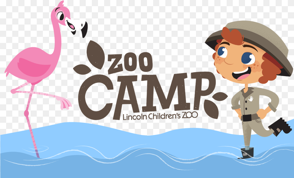 2018 Summer Zoo Camp Descriptions Lincoln Children39s Zoo Logo, Animal, Bird, Flamingo, Baby Free Png Download