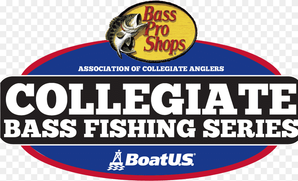 2018 The Association Of Collegiate Anglers And The Incomm Bass Pro Shop Email Delivery, Animal, Bee, Insect, Invertebrate Free Png Download