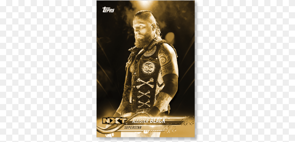 2018 Topps Wwe Aleister Black Base Poster Gold Ed Wwe Nxt, Vest, Clothing, Concert, Crowd Free Transparent Png