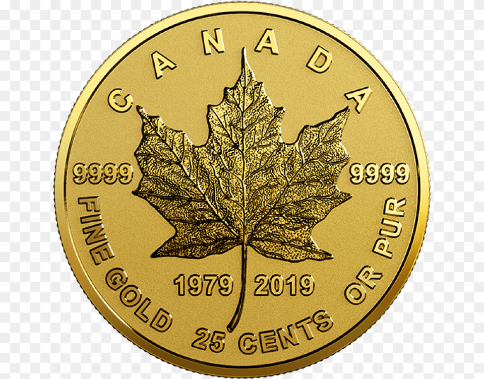 2019 1979 Canadian 25cent Gold Maple Leaf 40th Anniv 05 G Pure Gold Coin Maple Leaf Gold 2019, Plant, Money Png