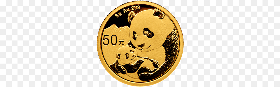 2019 3 Gram Chinese Gold Panda Obverse Panda Gold Coin 2019, Money Png Image