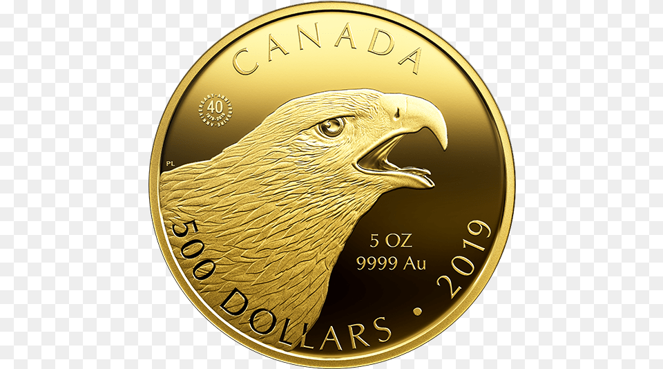 2019 Gold Coins, Animal, Bird, Coin, Money Free Transparent Png