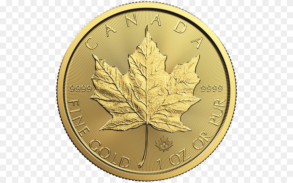 2019 Gold Maple Leaf Coin, Plant, Money, Wristwatch Free Png Download