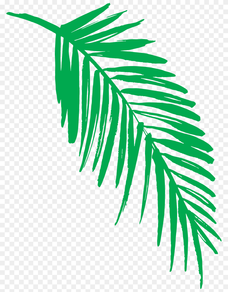 2019 Green Jungle Leaf Purple Trees Transparent Background Jungle Leaves Clip Art, Plant, Tree, Palm Tree, Fern Free Png Download
