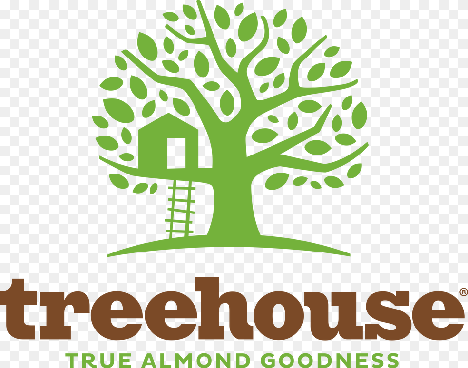 2019 June Shipment Report Treehouse True Almond Goodness Carton Artwork, Advertisement, Poster, Plant, Tree Free Transparent Png