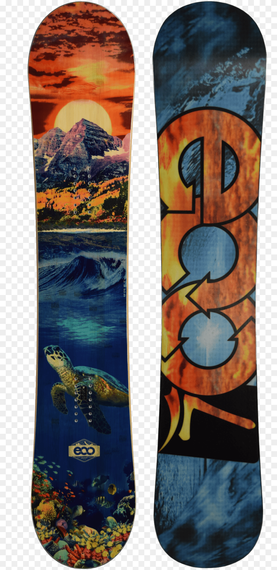 2019 Launch Eco Rc Snowboard Snowboard, Reptile, Animal, Turtle, Sea Life Free Png Download