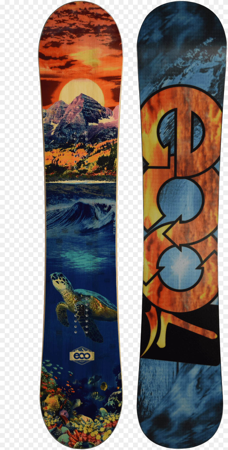 2019 Launch Eco Snowboard, Animal, Turtle, Sea Life, Reptile Png Image
