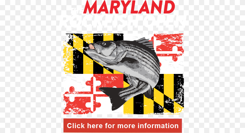 2019 Md Rockfish Open Maryland State Flag, Advertisement, Poster, Adult, Male Png Image