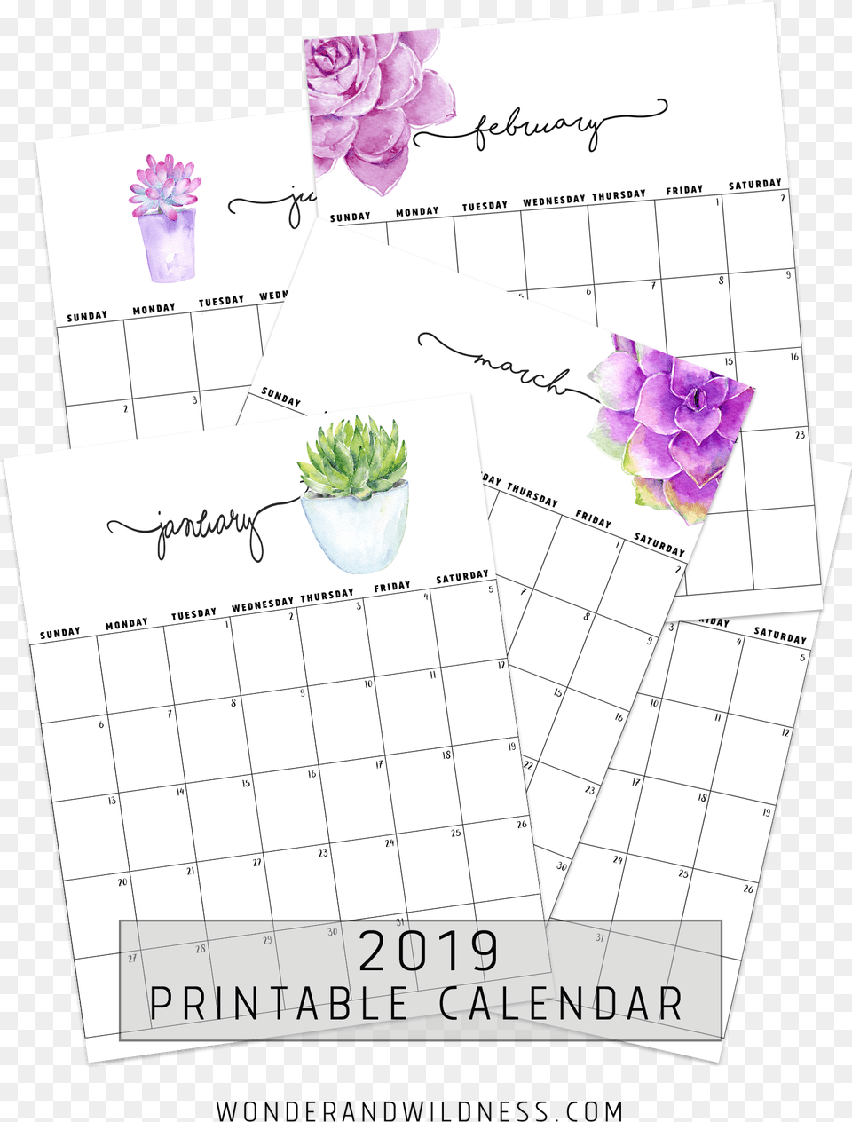 2019 Printable Succulent Calendar, Plant, Flower, Text Png Image
