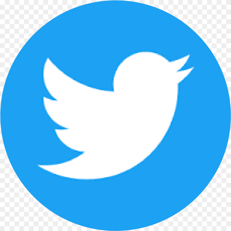 2019 Pro Exp Media Inc Logos Of Social Media Apps Clipart Twitter Logo, Animal, Fish, Sea Life, Shark Free Transparent Png