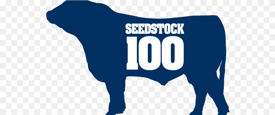 2019 Seedstock, Animal, Bull, Mammal, Adult Free Png