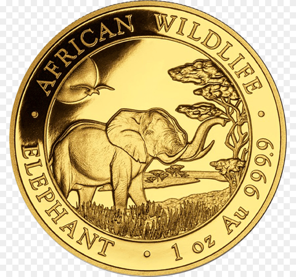 2019 Somalian Elephant 1oz Gold Coin Elephant Coin, Animal, Mammal, Wildlife, Money Free Transparent Png