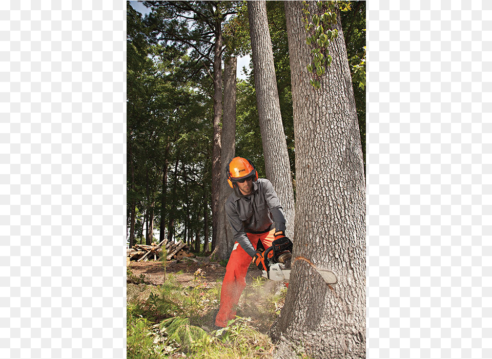 2019 Stihl Ms 880 Magnum In Greenville North Carolina Stihl Chainsaw Cutting Down Tree, Clothing, Hardhat, Helmet, Adult Free Png Download