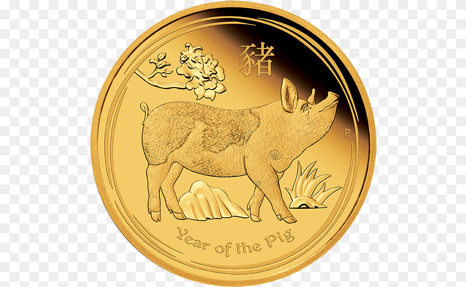 2019 The Year Of The Piggy Bank Year Of The Pig Gold Coin, Animal, Mammal, Money Png Image