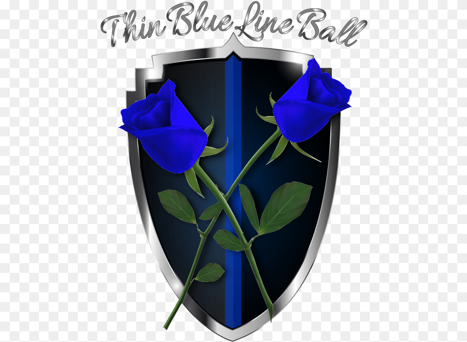 2019 Thin Blue Line Ball Garden Roses, Armor, Flower, Plant, Rose Png
