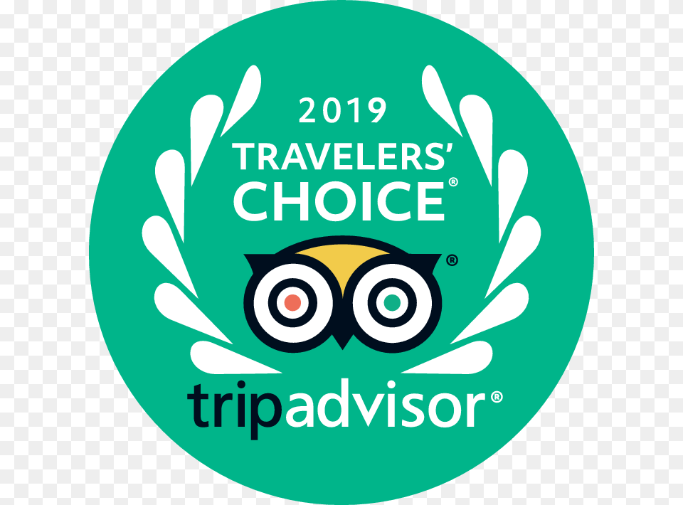 2019 Travelers Choice Award Winner In The Category Tripadvisor Travelers Choice 2019, Logo, Advertisement, Poster, Disk Free Transparent Png