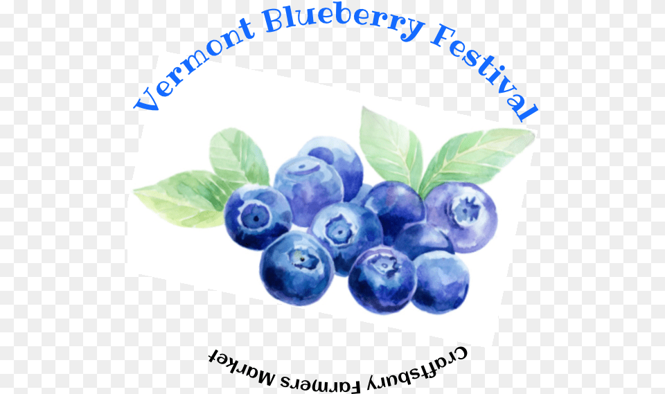 2019 Vermont Blueberry Festival Huckleberry, Berry, Food, Fruit, Plant Png