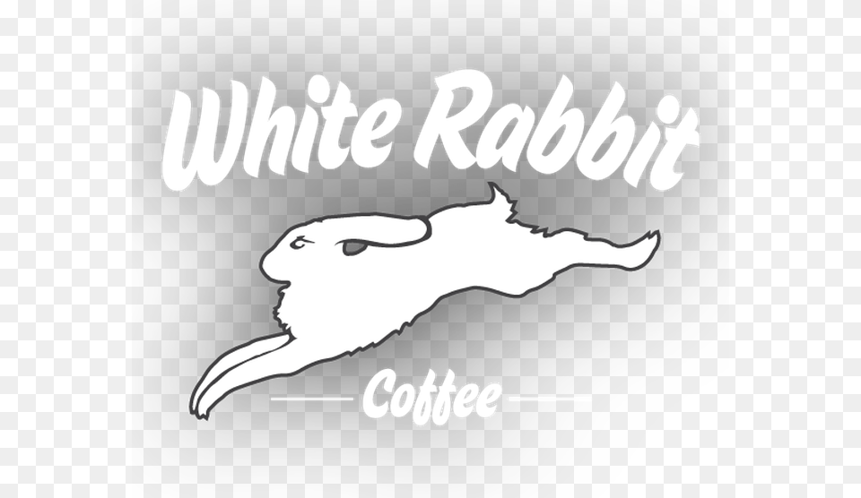 2019 White Rabbit Coffee Llc Rat, Person, Face, Head, Text Free Png