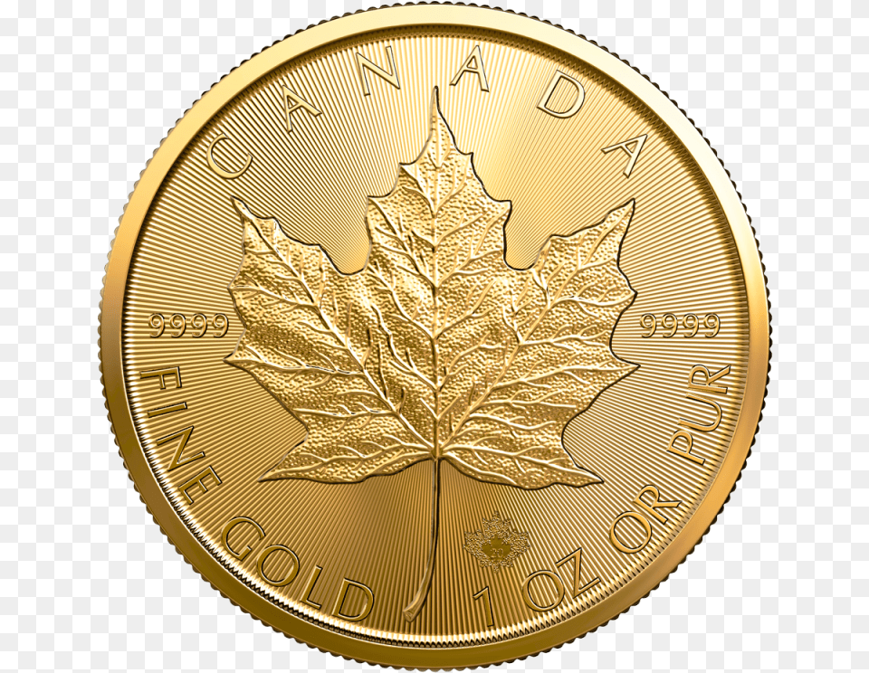 2020 1 Oz Canadian Gold Maple Leaf Coin, Plant, Wristwatch Png Image