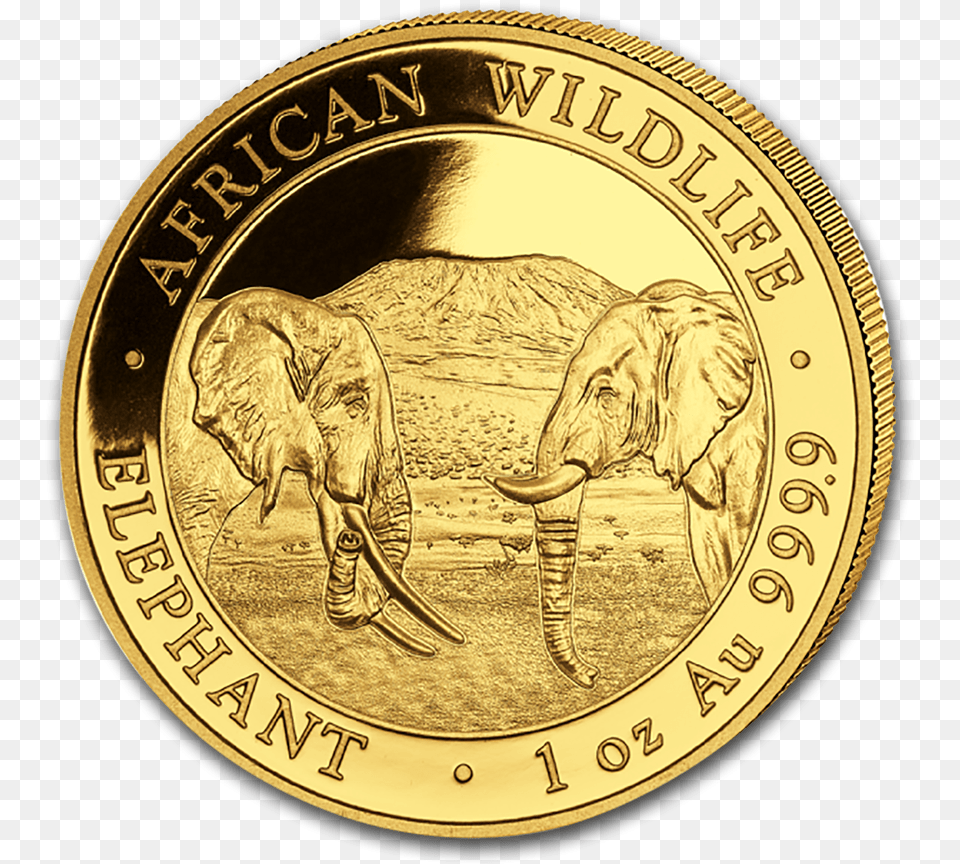 2020 1 Oz Somalia Elephant 9999 Gold Coin Bu Gold Coin 2020 Bullion, Animal, Mammal, Wildlife, Money Free Png