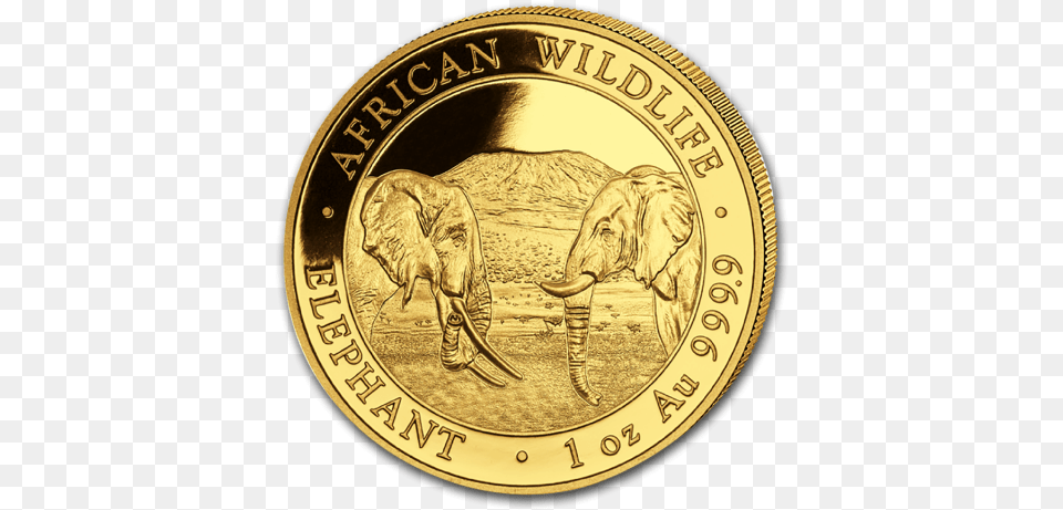 2020 1 Oz Somalia Elephant 9999 Gold Coin Bu Gold Coin 2020 Bullion, Animal, Mammal, Wildlife, Money Free Transparent Png