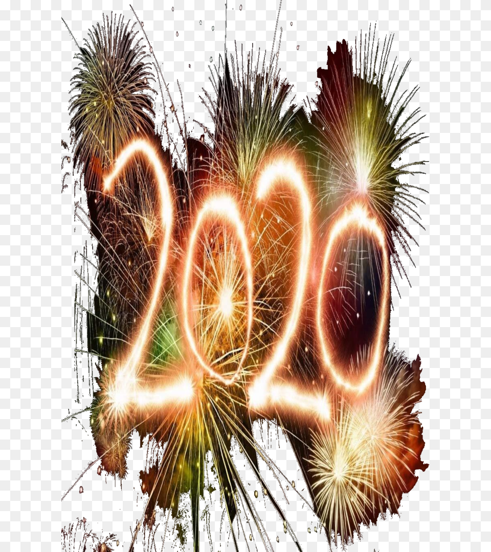 2020, Fireworks, Plant, Nature, Night Free Png