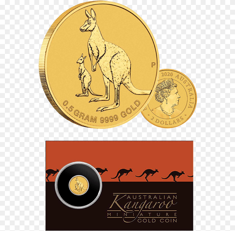 2020 2 Kangaroo 05g Gold Brilliant Unc Pellicer Creek, Animal, Mammal, Adult, Wedding Png