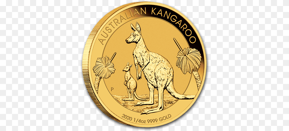 2020 Australian Kangaroo Gold Coins Gold Spot 2020 1 Oz Kangaroo Gold Coin, Animal, Mammal, Money Png Image
