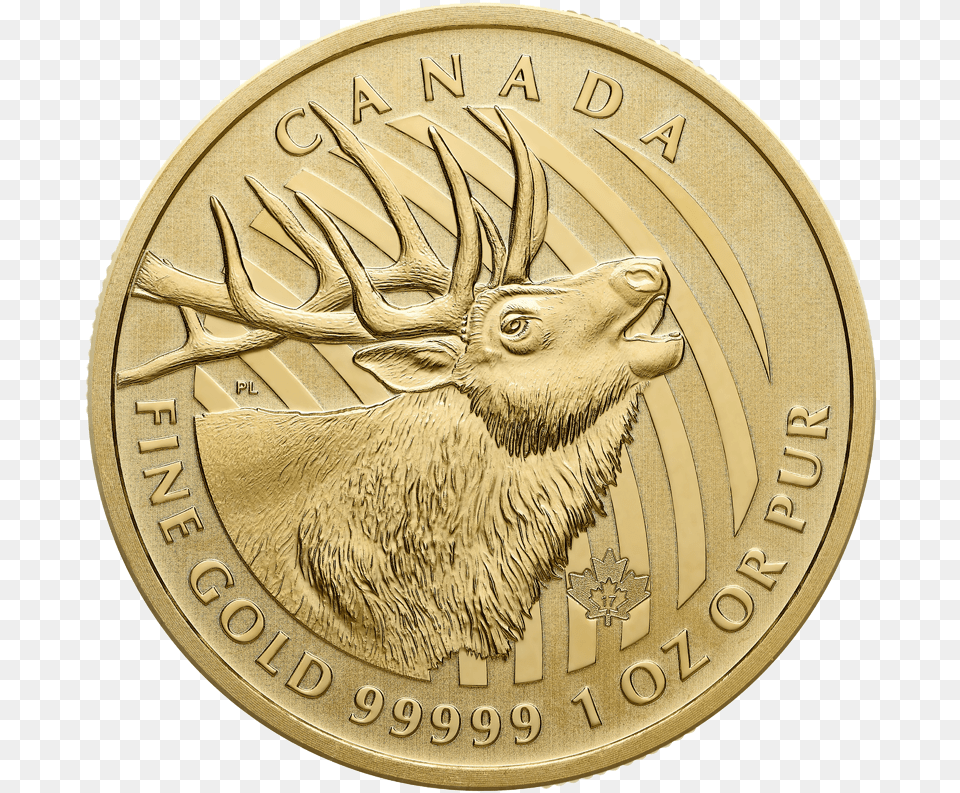 2020 Gold Maple Leaf Coin, Animal, Antelope, Mammal, Wildlife Free Png
